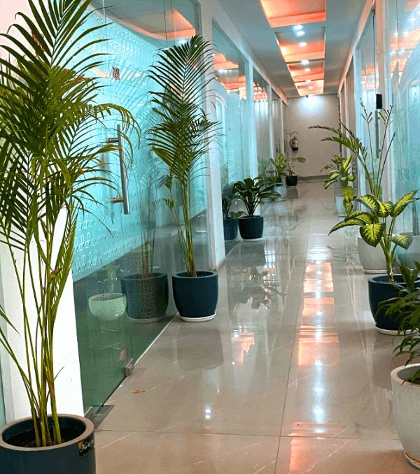 fully furnished office space for rent in noida sector 63